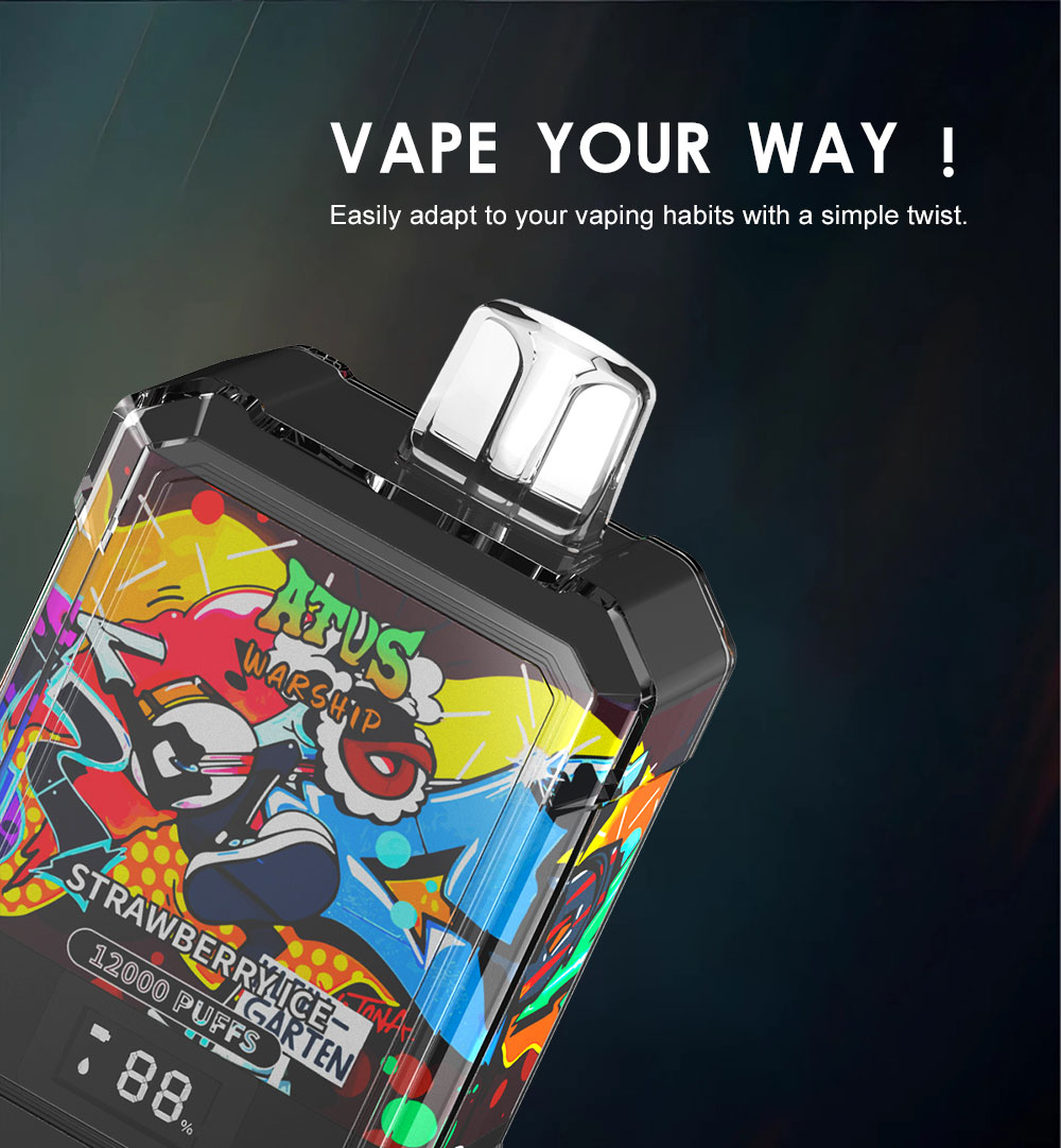 DE013A 12000 Puffs Texas TX USA Disposable Vapes with LED display screen and adjustable airflow
