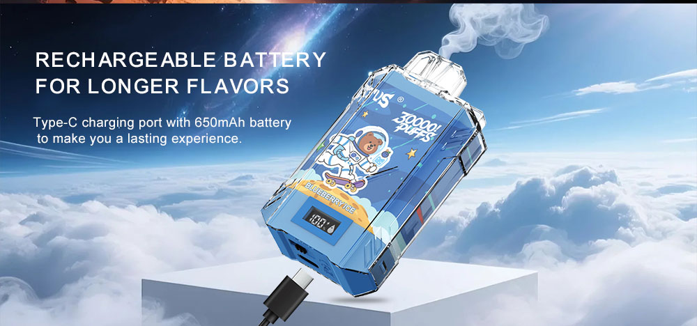 DE017 Texas TX USA 30000 Puffs Disposable Vape with LED display screen and adjustable airflow rechargeable